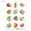 marakuja, arbuz, pitaja, papaja, granat, guawa, akwarela, limonka, ananas, kokos, karambola, banan, mango*Sea shells, clams, snail, pearl, beach, ocean, nature, watercolor, seahorse, jellyfish, sea urchin, crab, starfish, fauna
